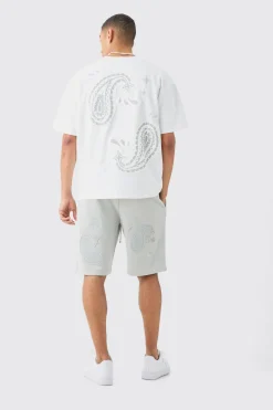 Oversized Heavyweight Paisley Applique T-shirt | UK^boohooMAN Online