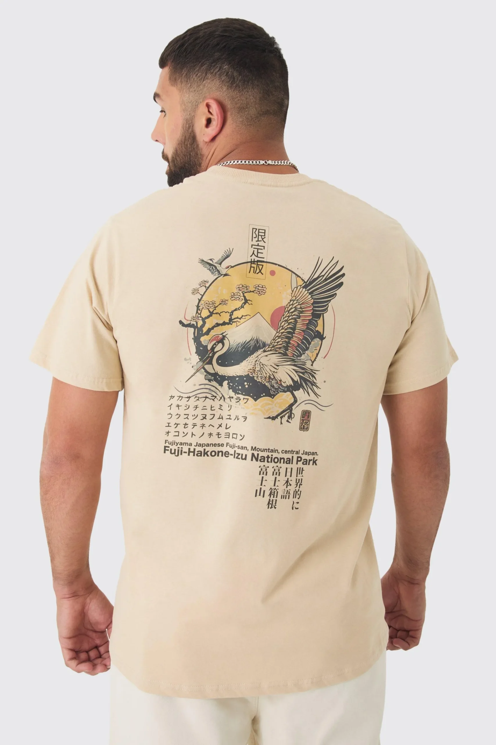 Plus Bird Graphic Back Print T-shirt | UK^boohooMAN Best