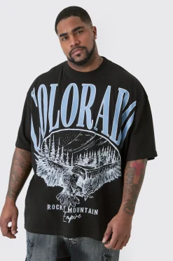 Plus Colorado Varsity Graphic T-shirt In | UK^boohooMAN Outlet